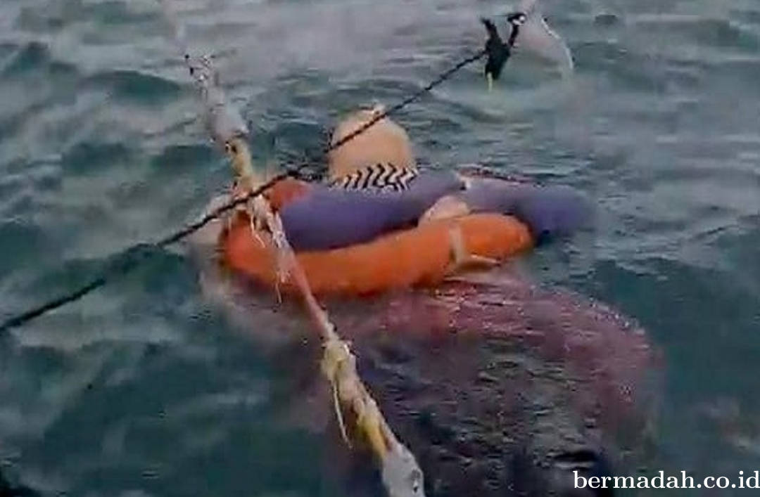 2 Tahun Hilang, Perempuan Ini Ditemukan Hidup Mengapung di Laut