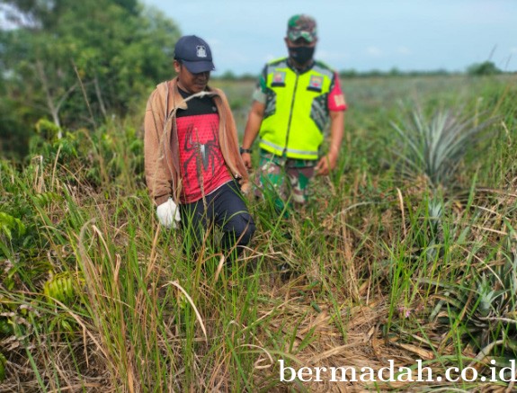 02032022-SIAK_1.jpg