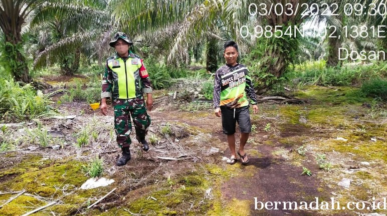 03032022-SIAK_1.jpg