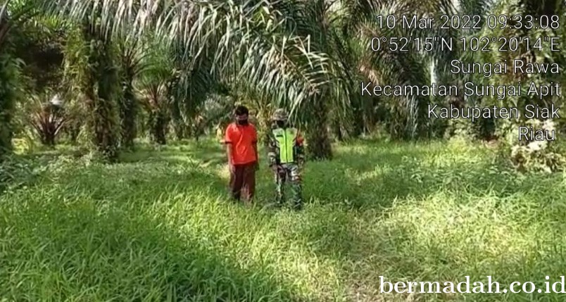 10032022-SIAK_1.jpg
