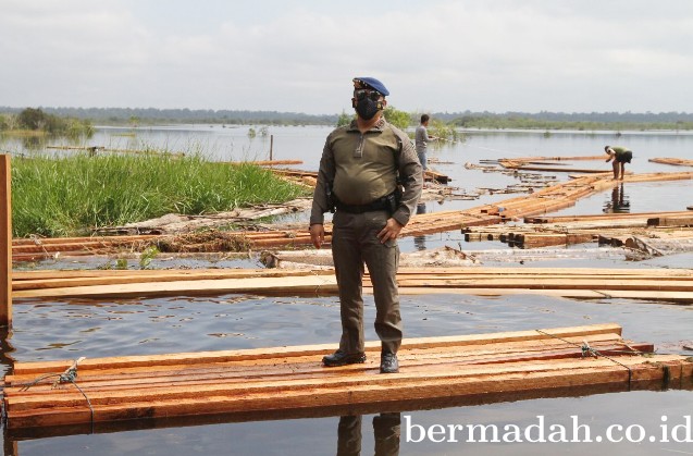 Kapolda Riau Irjen Agung Setia Imam Effendi Turun Ke Lokasi Illegal Logging