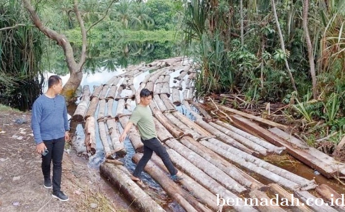 Amankan 2319 Kubik Kayu Ilegal Logging, Kapolda: Hutan Kita Harus Diselamatkan