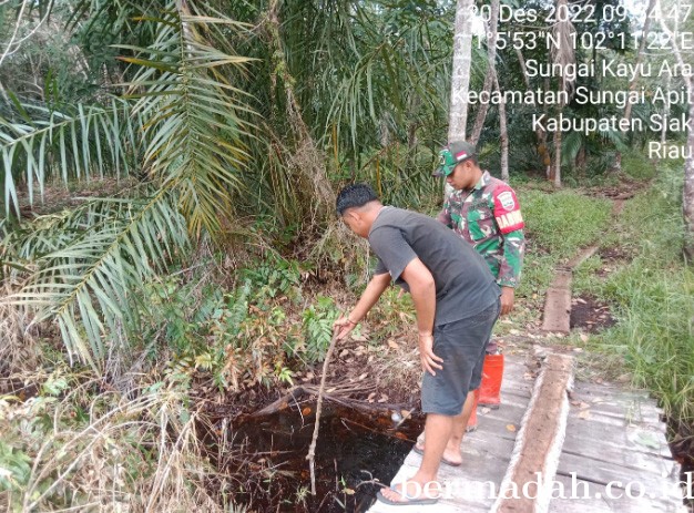 20122022-Siak_4.jpg