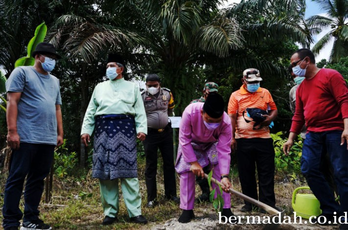 Peringati Hari Pohon Sedunia Bupati Alfedri Tanam Pohon Matoa