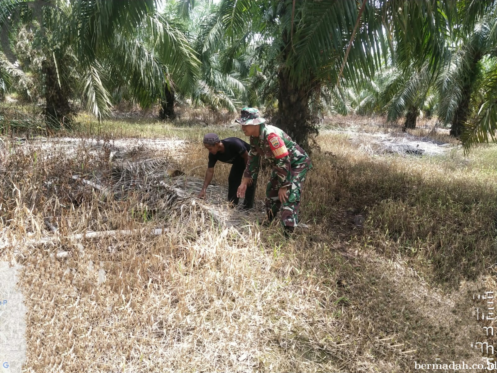 Penanggulangan Karhutla di Wilayah Koramil 02/Sungai Apit Minggu, 12 Mei