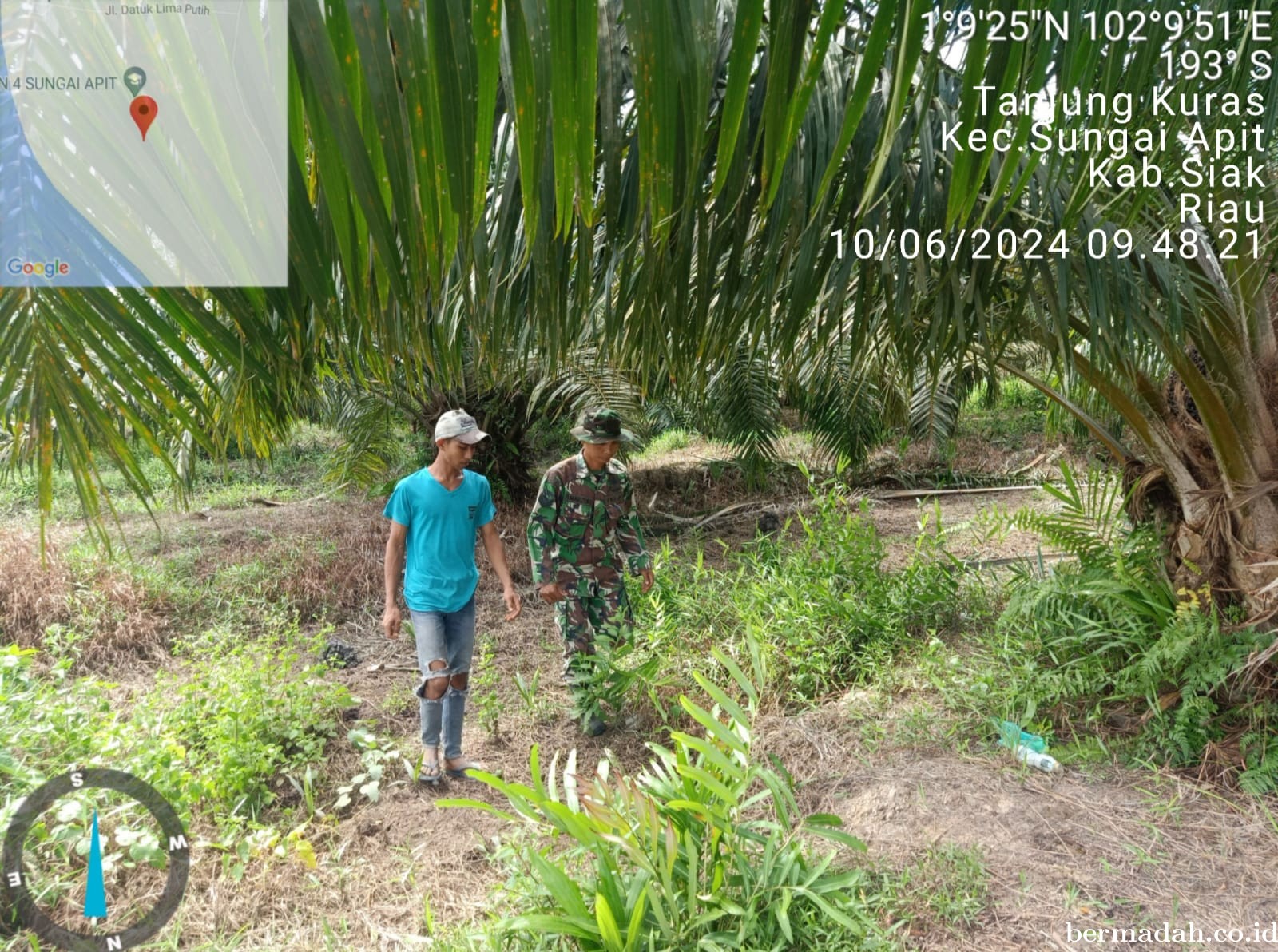 Penanggulangan Karhutla di Wilayah Koramil 02/Sungai Apit, Senin 10 Juni