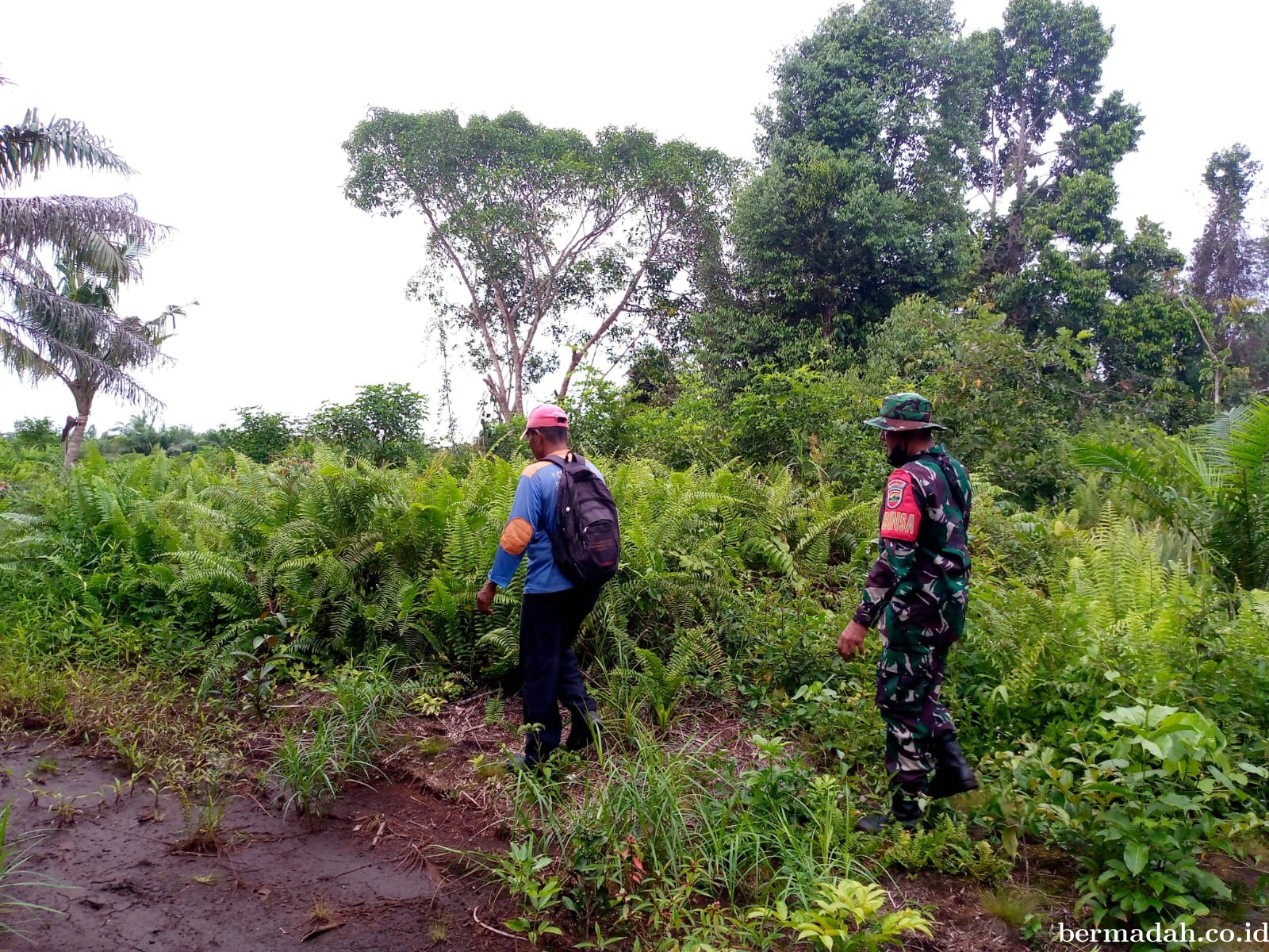 Penanggulangan Karhutla di Wilayah Koramil 02/Sungai Apit, Selasa 11 Juni