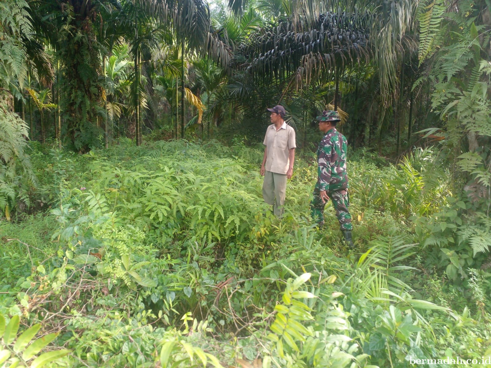 Penanggulangan Karhutla di Wilayah Koramil 02/Sungai Apit, Selasa 9Juli