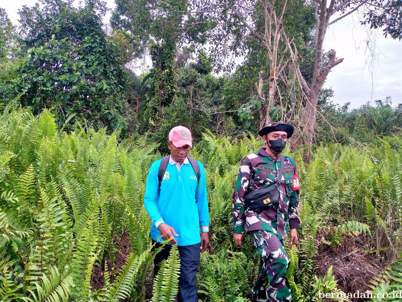 Penanggulangan Karhutla di Wilayah Koramil 02/Sungai Apit, Jumat 12 Juli