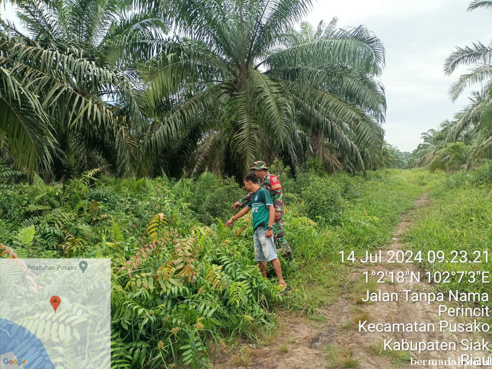 Penanggulangan Karhutla di Wilayah Koramil 02/Sungai Apit, Minggu 14 Juli