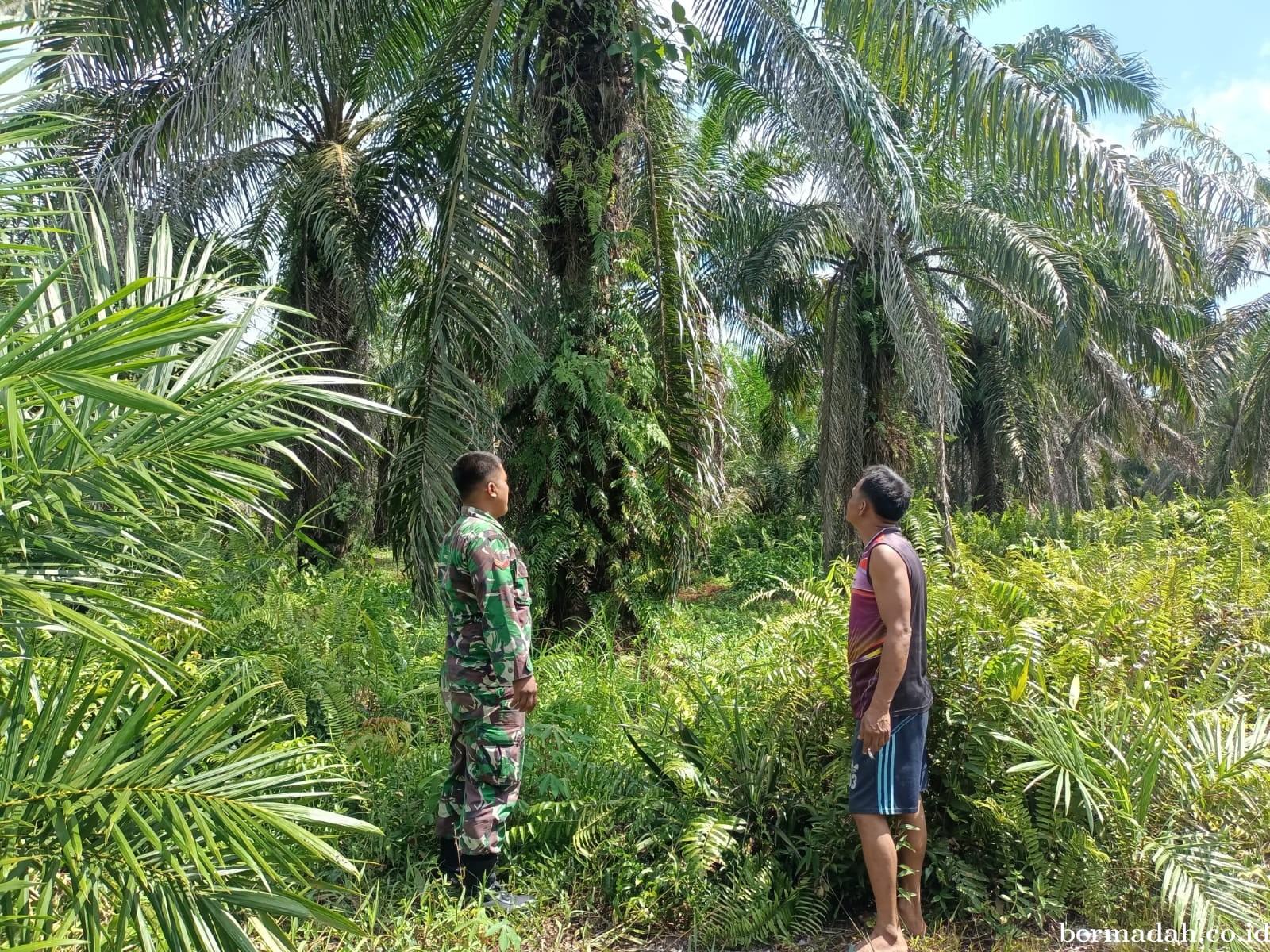 Penanggulangan Karhutla di Wilayah Koramil 02/Sungai Apit, Senin 29 Juli