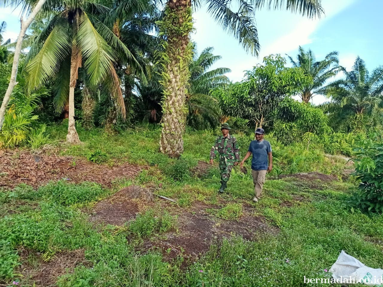 Penanggulangan Karhutla di Wilayah Koramil 02/Sungai Apit  Kamis 1 Agustus