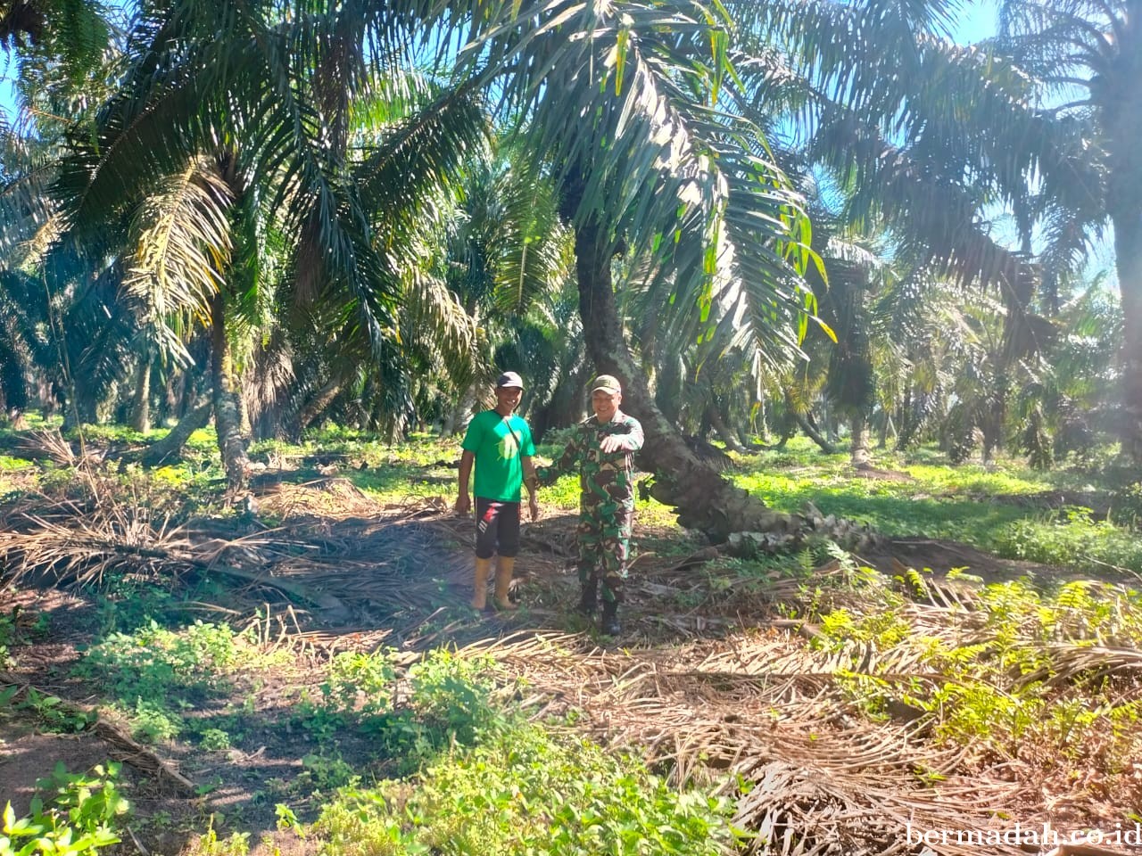 Penanggulangan Karhutla di Wilayah Koramil 02/Sungai Apit Jumat 2 Agustus