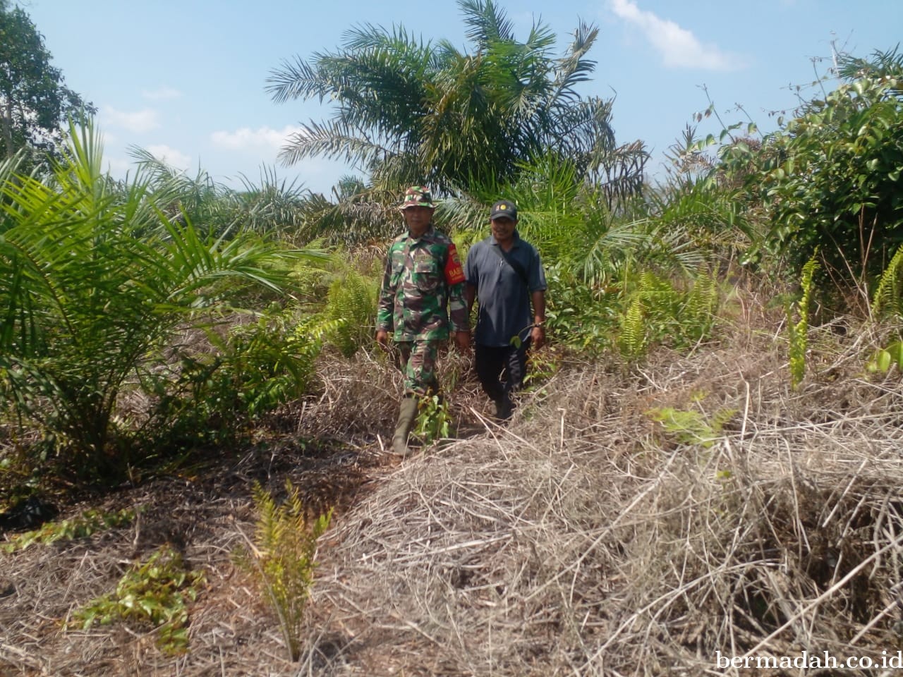 Penanggulangan Karhutla di Wilayah Koramil 02/Sungai Apit Sabtu 3 Agustus