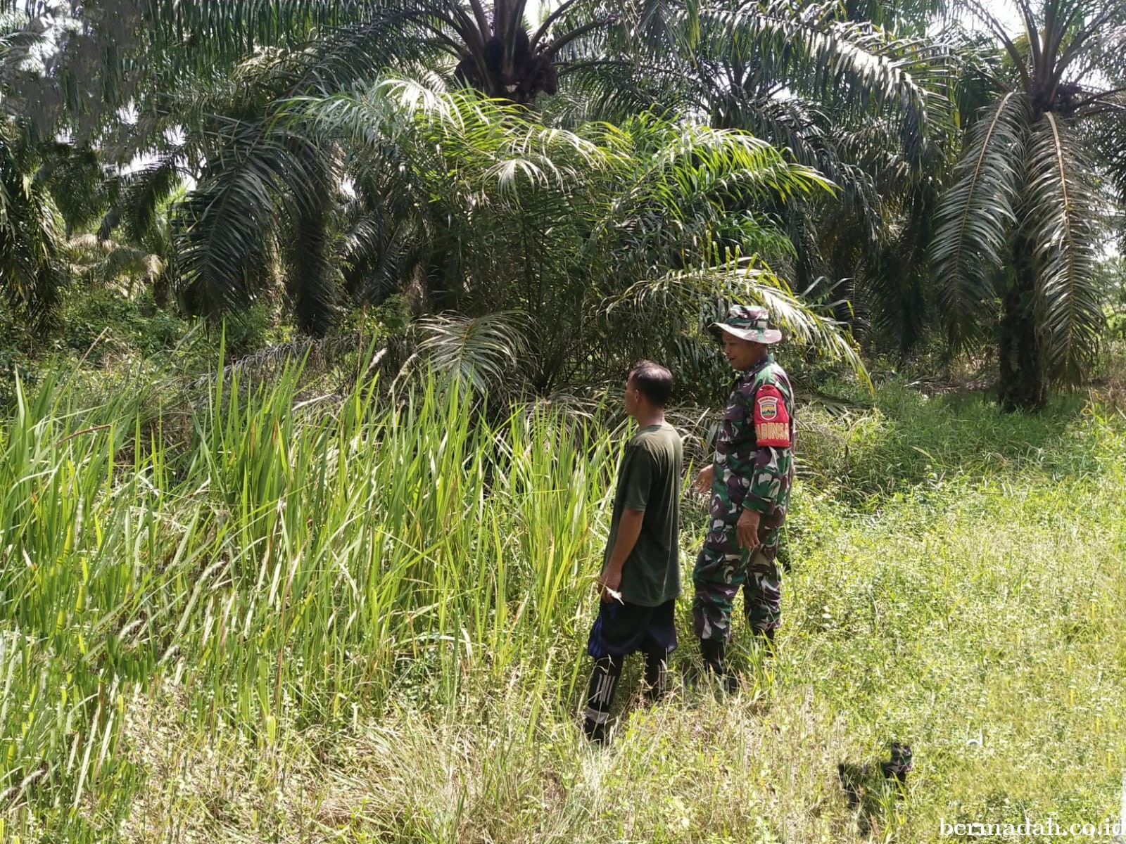 Penanggulangan Karhutla di Wilayah Koramil 02/Sungai Apit, Minggu 4 Agustus