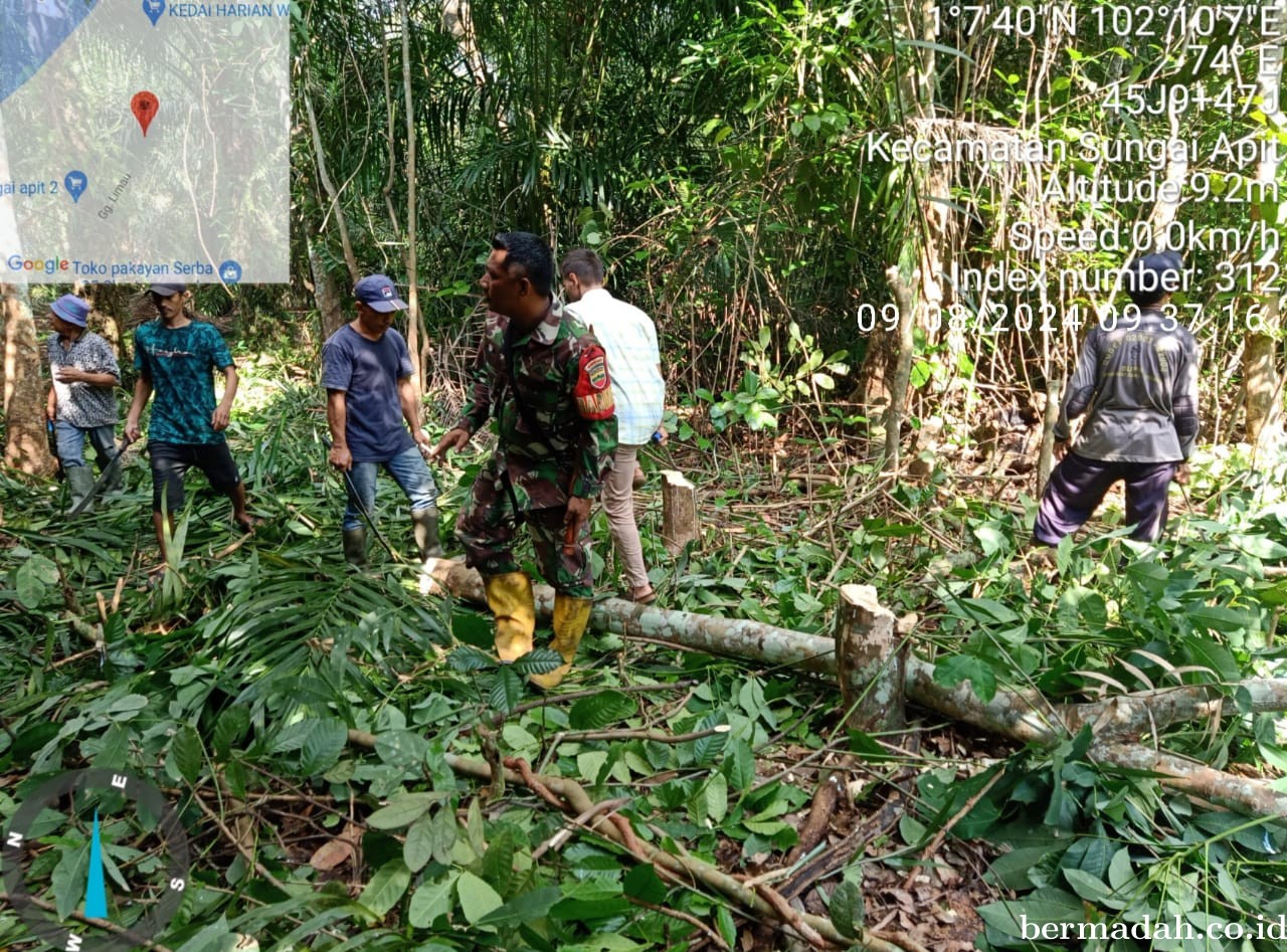 Penanggulangan Karhutla di Wilayah Koramil 02/Sungai Apit, Jumat 9 Agustus