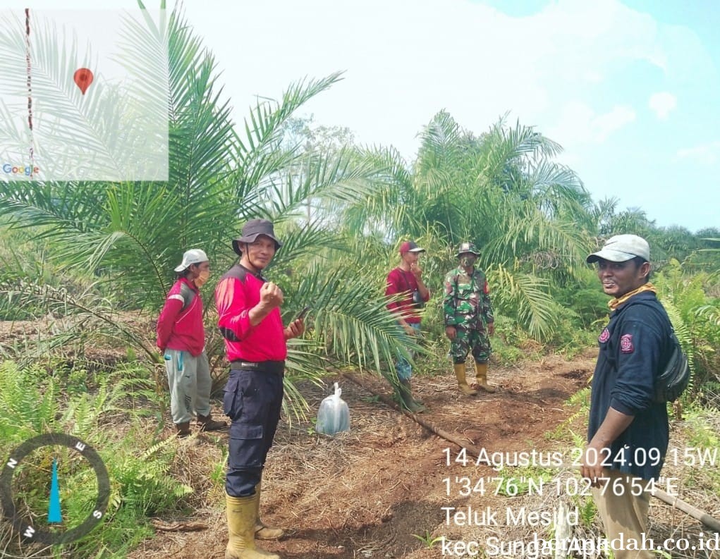 Penanggulangan Karhutla di Wilayah Koramil 02/Sungai Apit Rabu, 14 Agustus