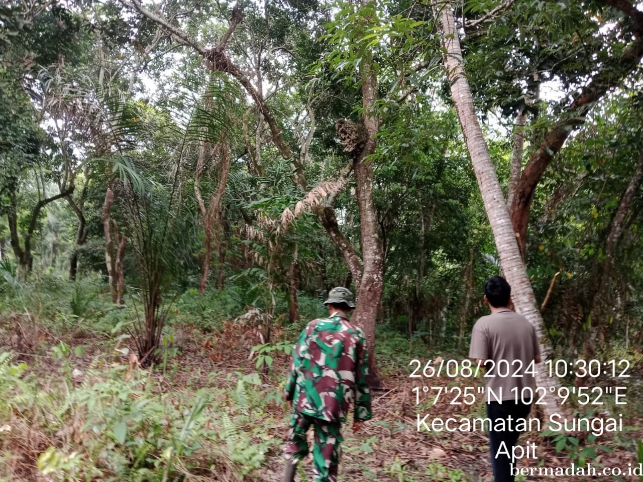 Penanggulangan Karhutla di Wilayah Koramil 02/Sungai Apit, Senin 26 Agustus