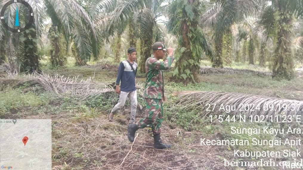 Penanggulangan Karhutla di Wilayah Koramil 02/Sungai Apit, Selasa 27 Agustus