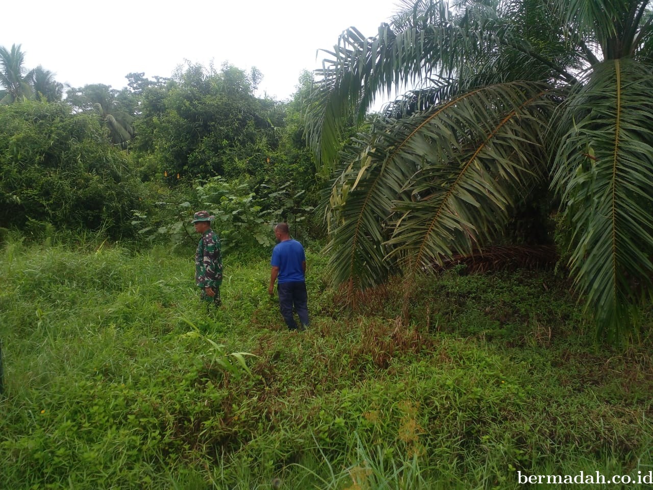 Penanggulangan Karhutla di Wilayah Koramil 02/Sungai Apit, Minggu 1 September