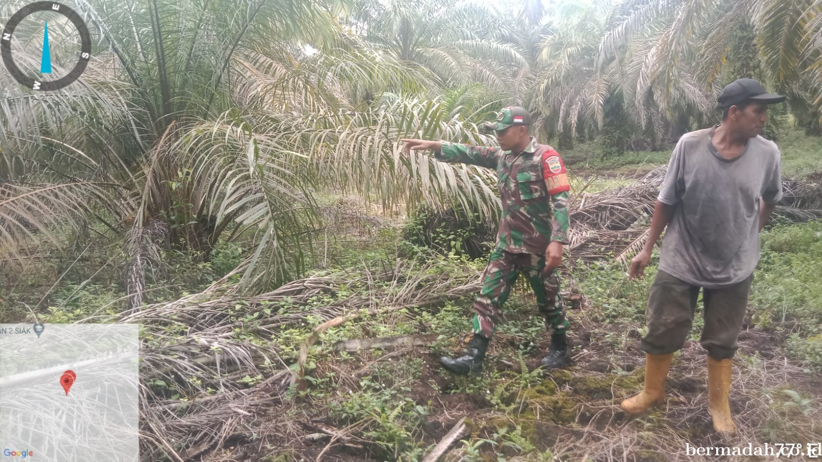 Penanggulangan Karhutla di Wilayah Koramil 02/Sungai Apit, Rabu 4 September