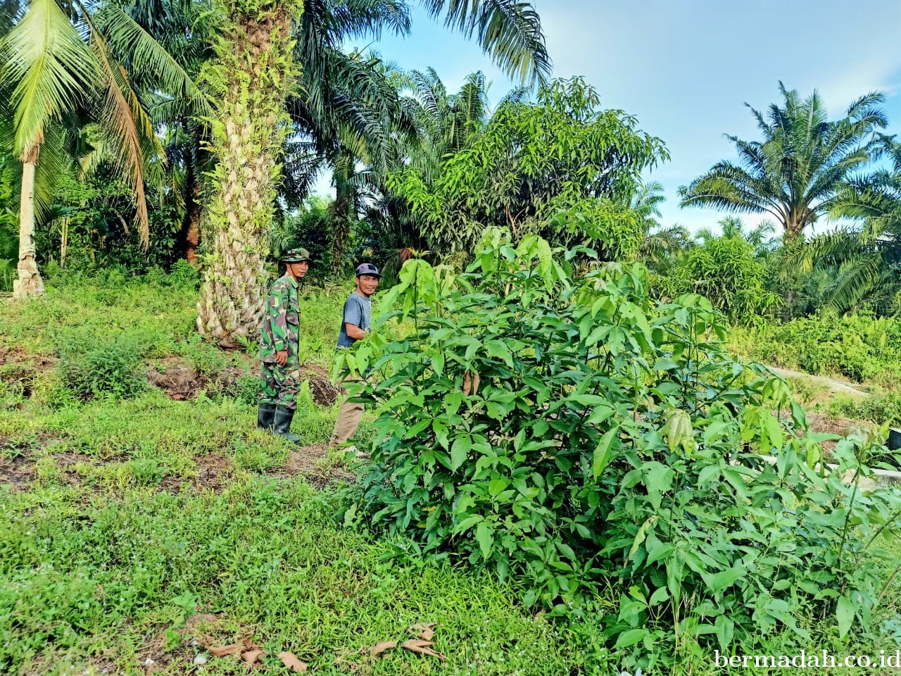 Penanggulangan Karhutla di Wilayah Koramil 02/Sungai Apit, Kamis 5 September