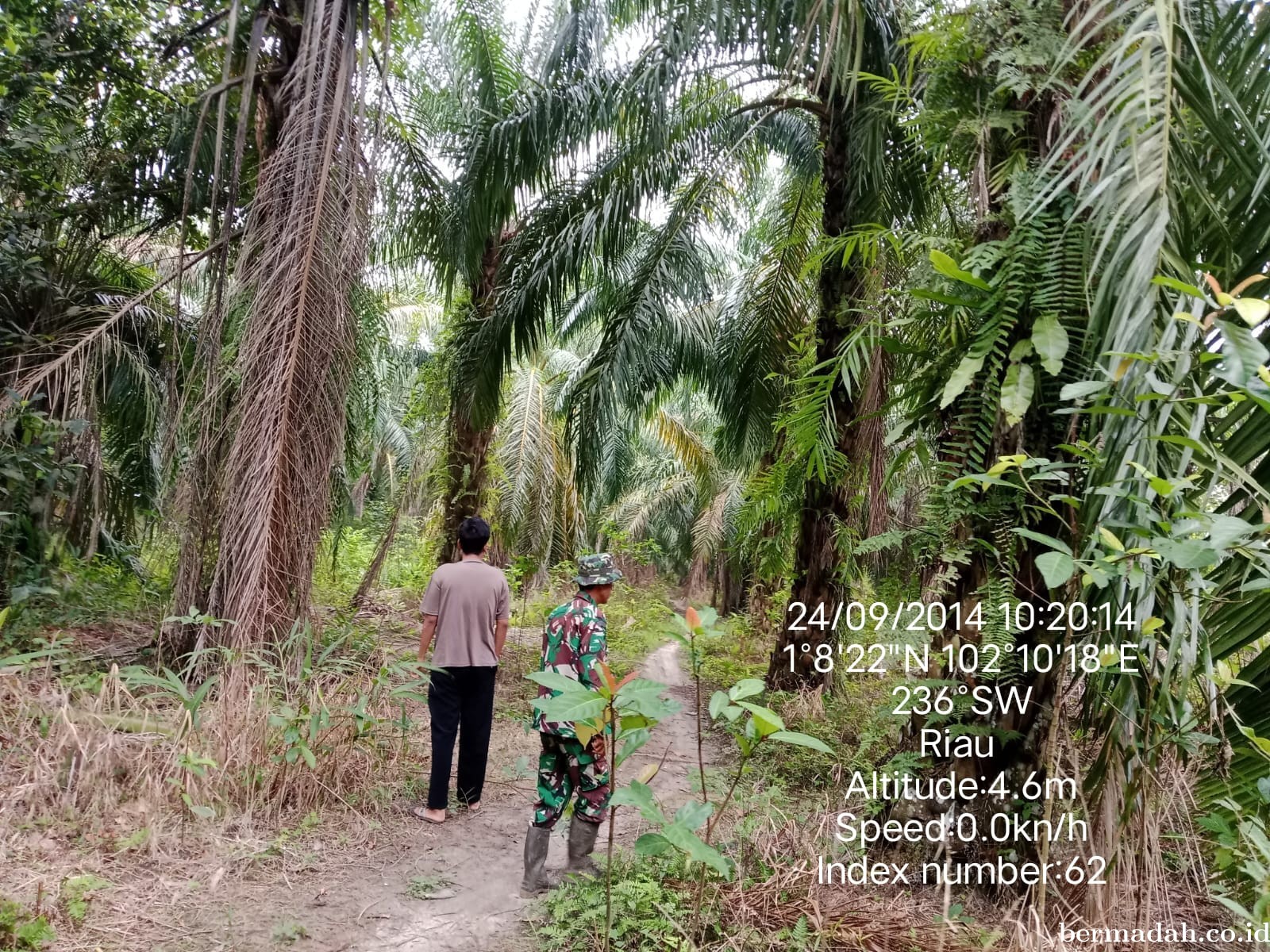 Penanggulangan Karhutla di Wilayah Koramil 02/Sungai Apit, Selasa 24 September