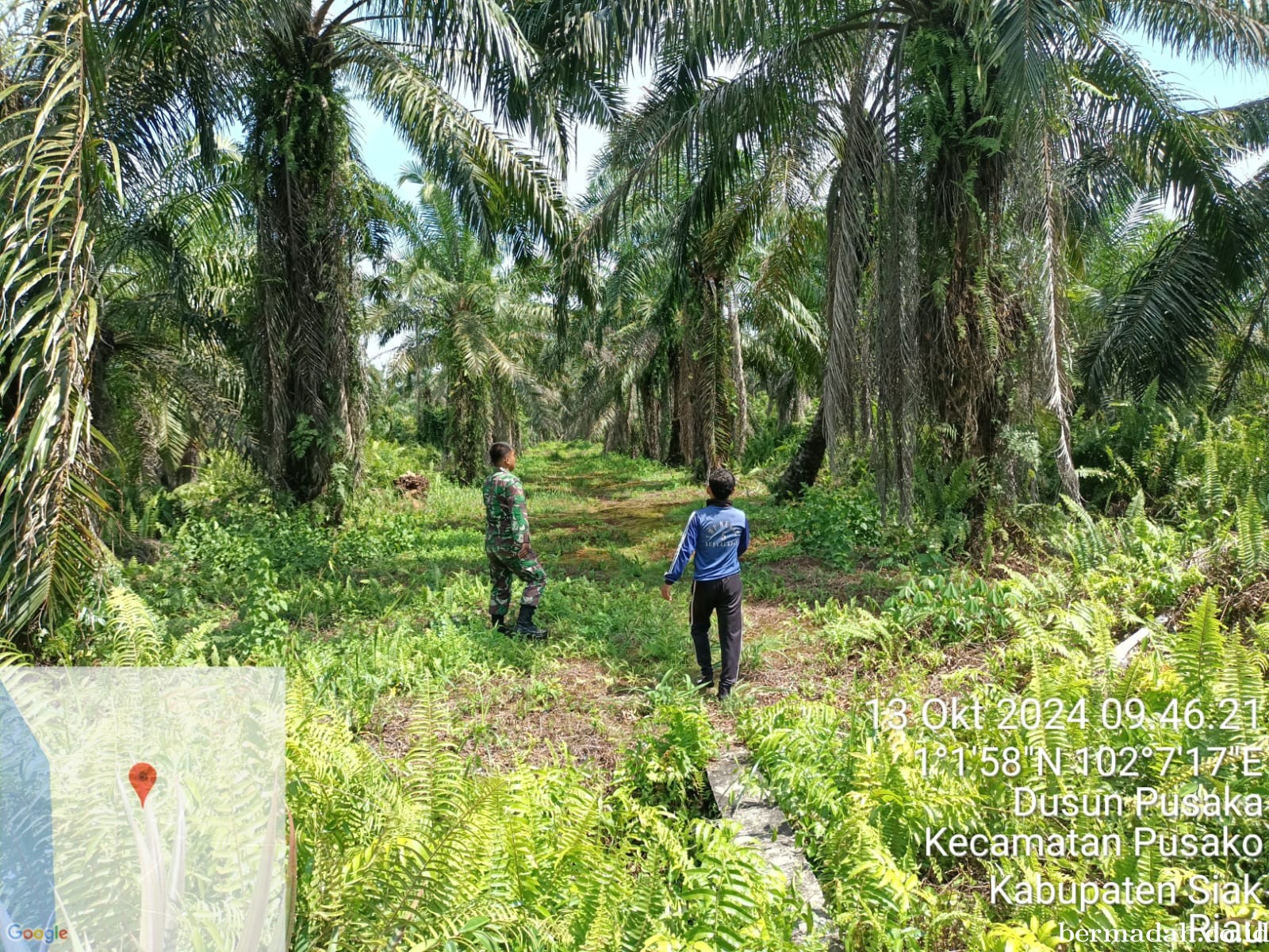 Penanggulangan Karhutla di Wilayah Koramil 02/Sungai Apit, Minggu 13 Oktober