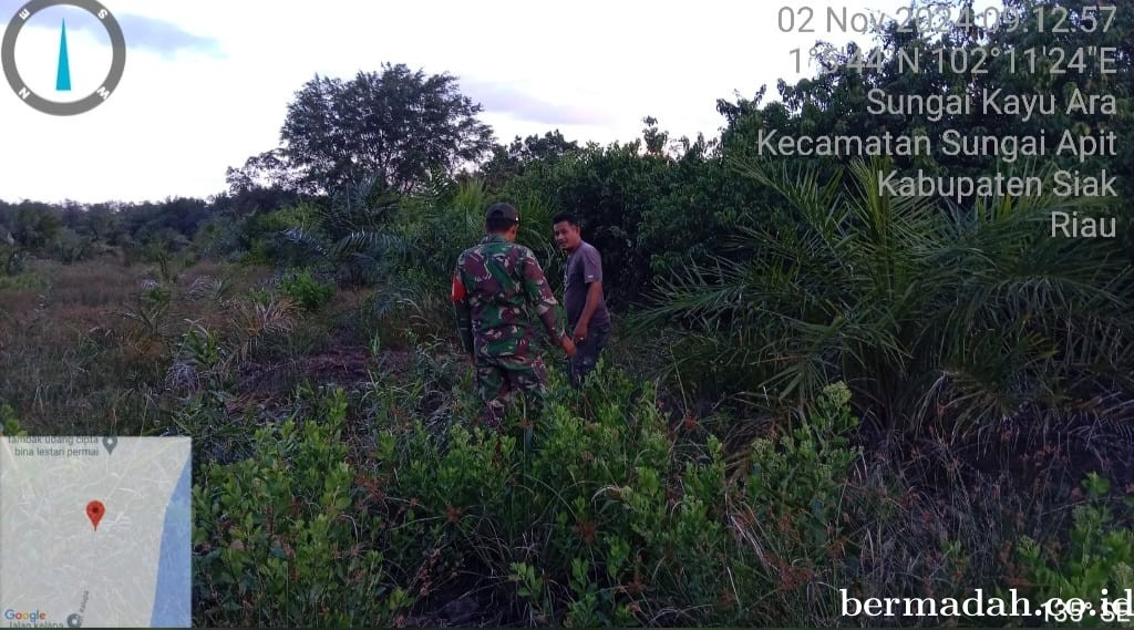 Penanggulangan Karhutla di Wilayah Koramil 02/Sungai Apit, Sabtu 2 November