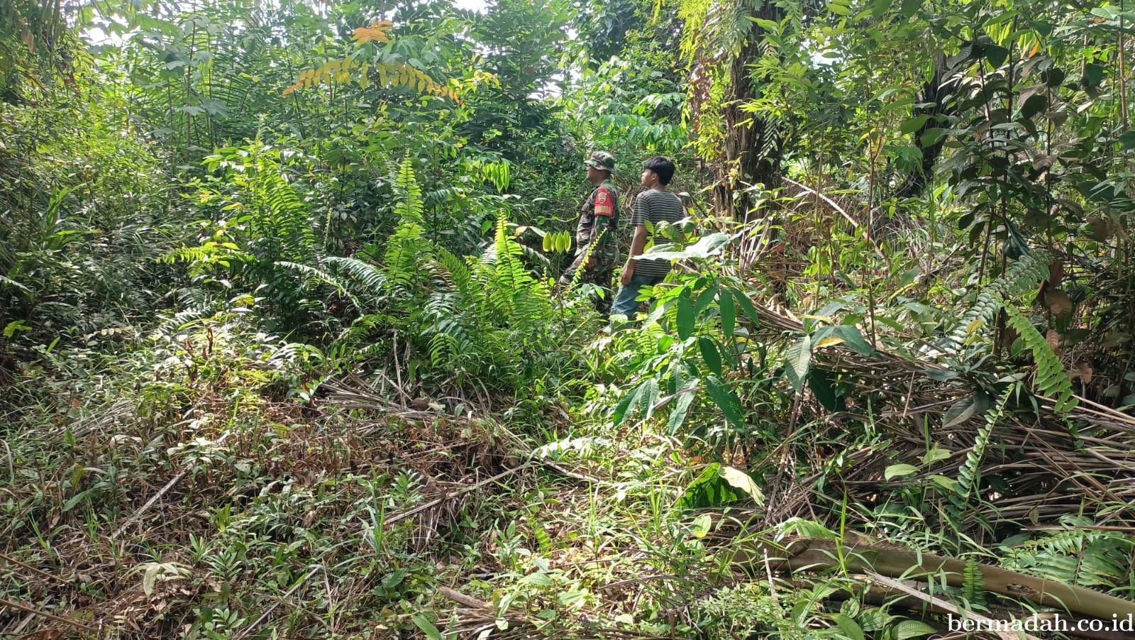 Penanggulangan Karhutla di Wilayah Koramil 02/Sungai Apit, Sabtu 15 Maret