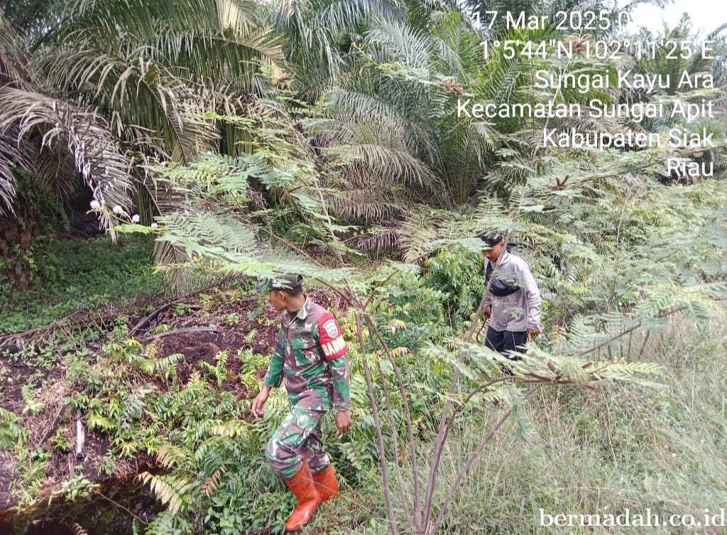 Penanggulangan Karhutla di Wilayah Koramil 02/Sungai Apit, Senin 17 Maret