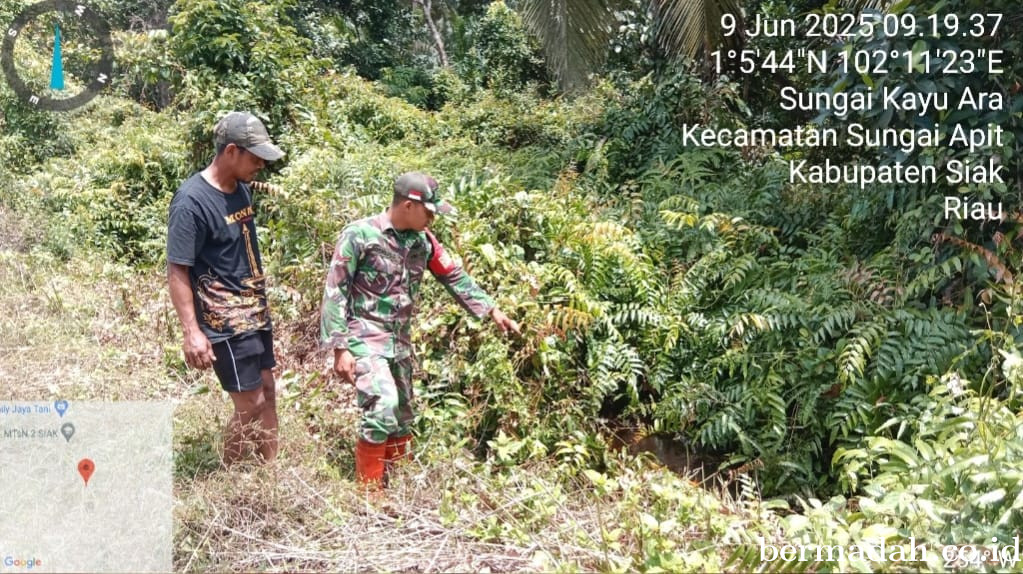 Penanggulangan Karhutla di Wilayah Koramil 02/Sungai Apit, Senin 9 Juni