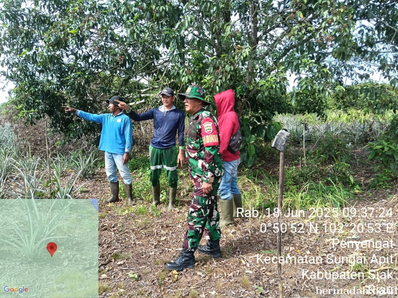Penanggulangan Karhutla di Wilayah Koramil 02/Sungai Apit, Rabu 18 Juni