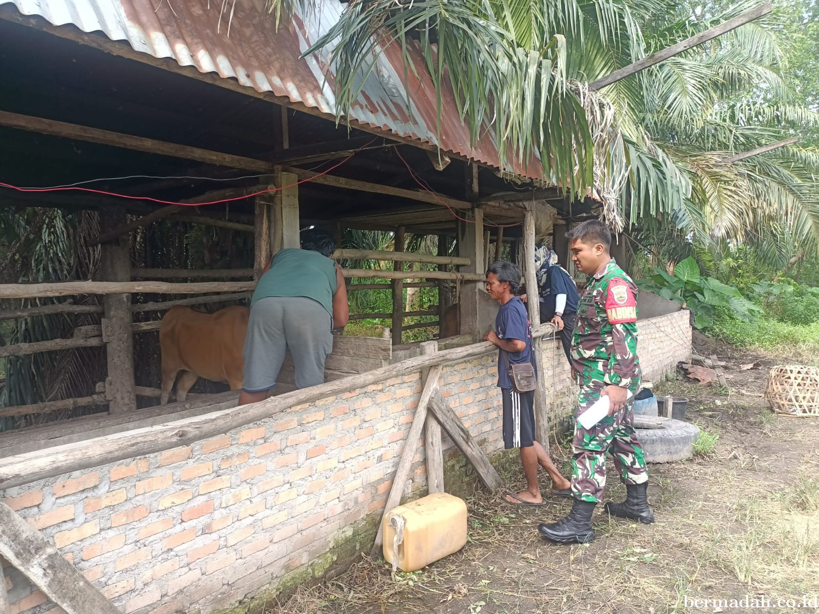 Rabu 23 Juli, Pendampingan Penyemprotan Disinsfektan PMK URC Ternak di Kampung Pusaka