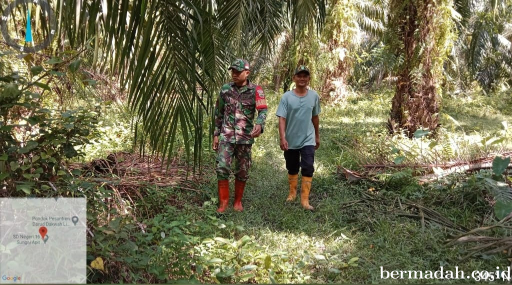 Penanggulangan Karhutla di Wilayah Koramil 02/Sungai Apit, Minggu 3 Agustus