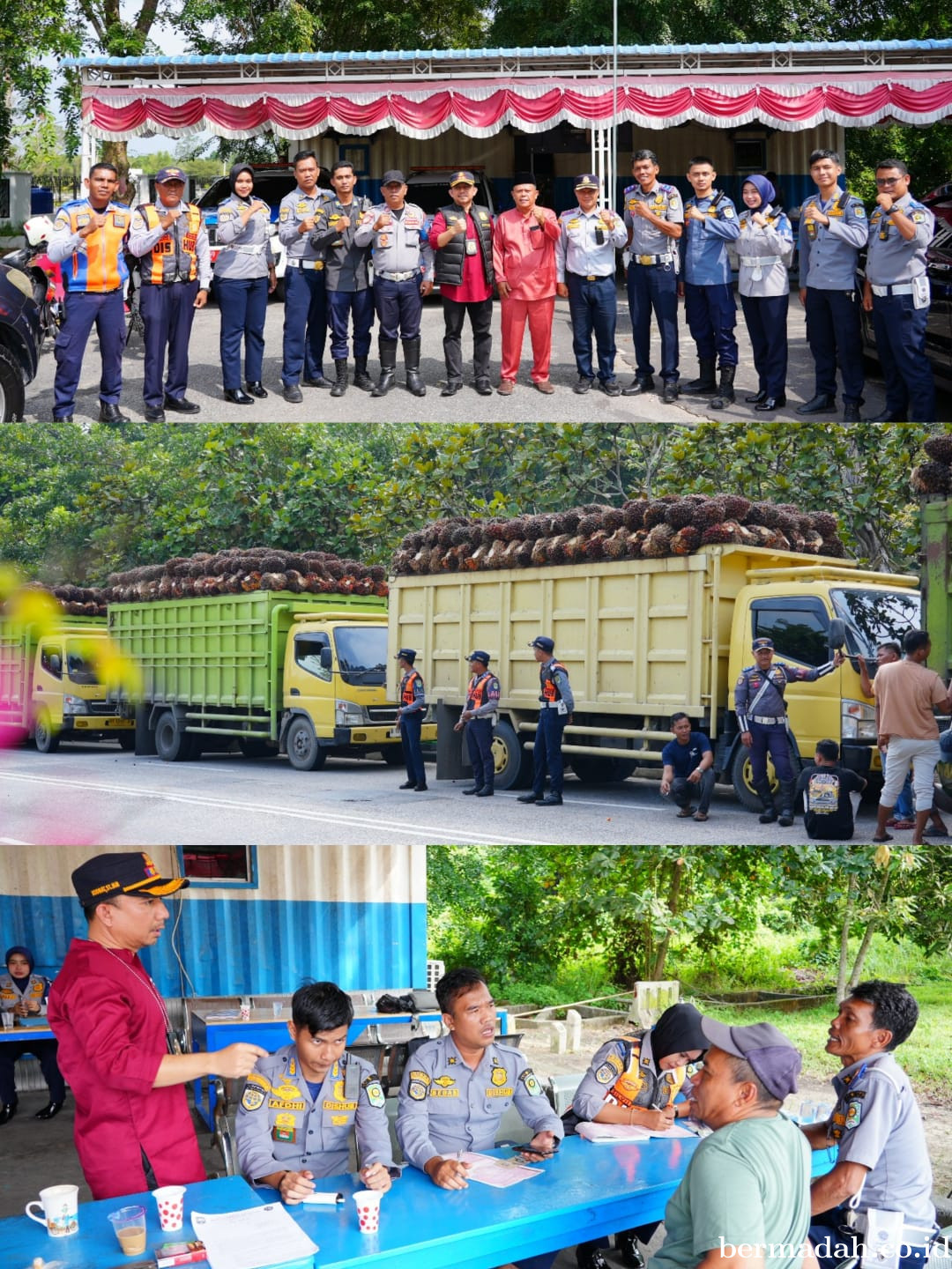 Dishub Siak Gelar OperasiPemeriksaan Kendaraan Angkutan,Tertibkan Puluhan Mobil ODOL Bermuatan Sawit