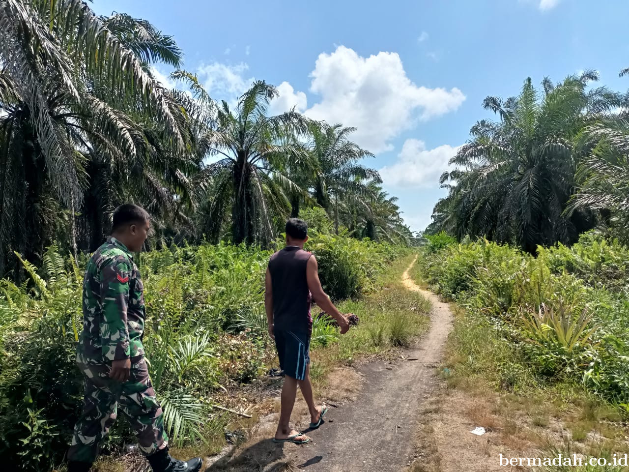 Penanggulangan Karhutla di Wilayah Koramil 02/Sungai Apit Sabtu 27 September