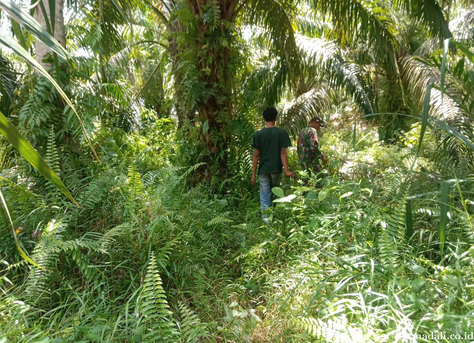 Penanggulangan Karhutla di Wilayah Koramil 02/Sungai Apit, Minggu 28 September