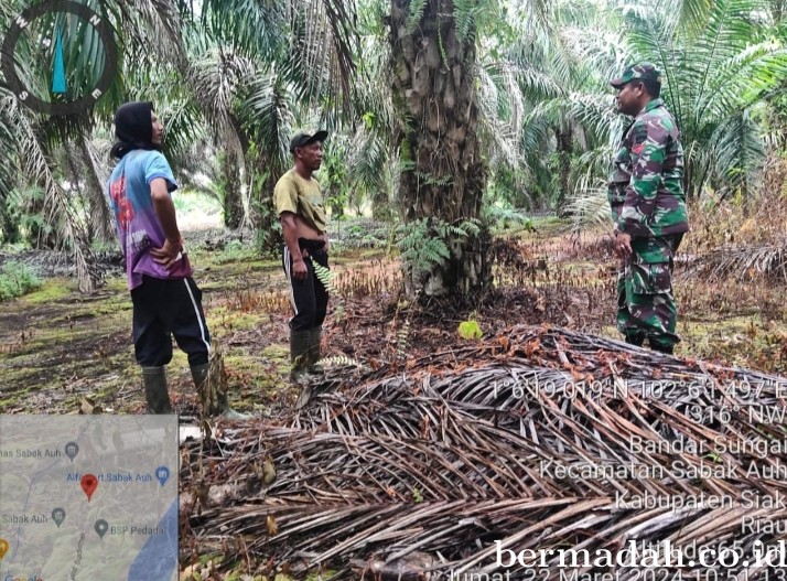 Penanggulangan Karhutla di lintas Wilayah Koramil 06/PWK Sabak Auh, Jumat 22 Maret