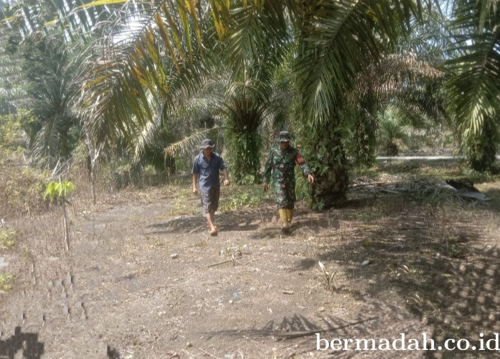 Penanggulangan Karhutla di Wilayah Koramil 02/Sungai Apit hari Kamis 4 April