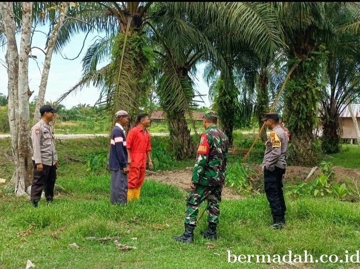 Jumat 5 April, Pendampingan Penyemprotan Disinsfektan PMK URC Ternak di Kampung Pusaka