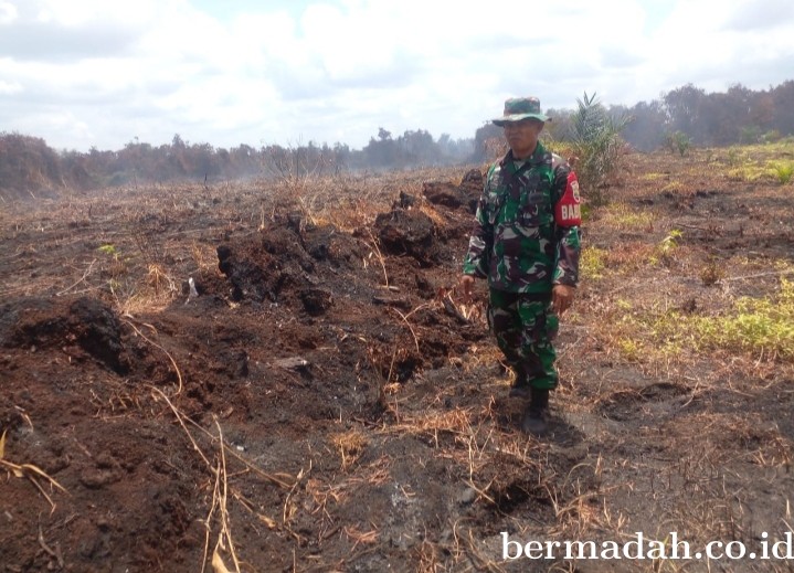 Penanggulangan Karhutla di Wilayah Koramil 02/Sungai Apit, Sabtu 6 April