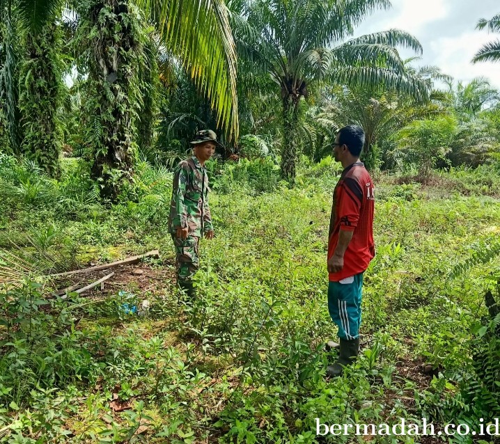 Penanggulangan Karhutla di Wilayah Koramil 02/Sungai Apit, Minggu 7 April