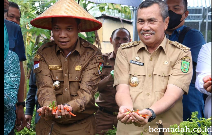 Pj Wali Kota Pekanbaru dan Gubernur Riau Galakkan Aksi Tanam Cabai